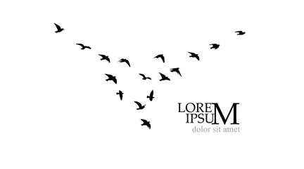 A flock of flying birds. Vector illustration