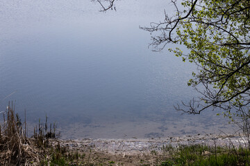 Minimalist color photo of a river bank with green tree branches and dry reeds on a sunny day