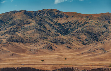 Mountain summer Kazakhstan landscape in June