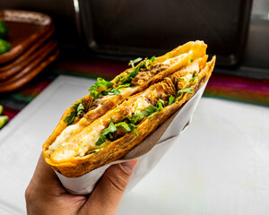 Quesabirria, quesadilla con carne, comida mexicana, deliciosa gastronomia tradicional.