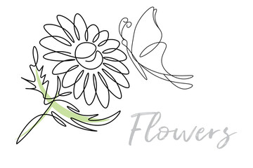 
Chrysanthemum flower outline, one line doodle style chamomile, butterfly on flower minimalism, floral mood.