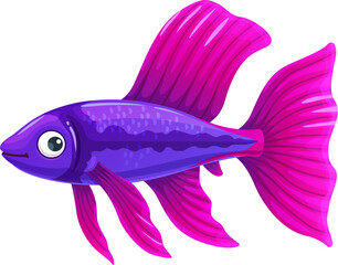 Colorful guppy aquarium fish. Isolated vector small, vibrant and peaceful tropical freshwater creature with vibrant hues, wide fins or tail, graceful movements and captivating stunning appearance