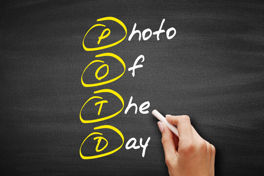 POTD - Photo Of The Day, acronym concept on blackboard