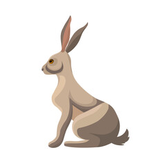 Obraz premium Wild leous, bunny profile. Hare, rabbit, forest animal with long ears. Jackrabbit character sitting, side view. cute mammal. Vector illustration