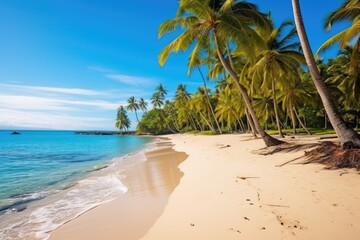 Obraz na płótnie Canvas stock photo of A beautiful beach with coconuts trees