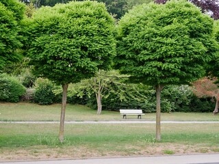 Park mit Parkbank in Sassnitz auf Rügen