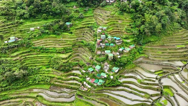 Aerial shot of the amazing terraced rice paddies in the mountains near Banaue Philippines.