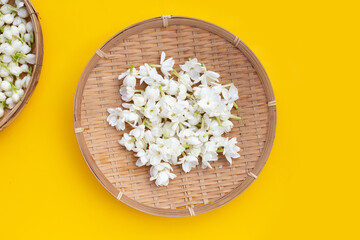 Thai jasmine flower on bamboo weave plate on yellow background.