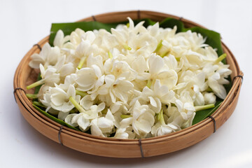 Thai jasmine flower on white background.