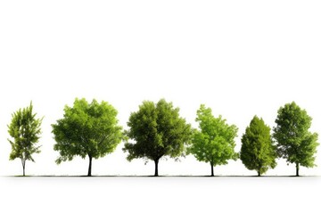 Obraz premium stock photo of Green trees white isolated background Generative AI