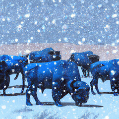 blue buffalo herd in snowstorm.