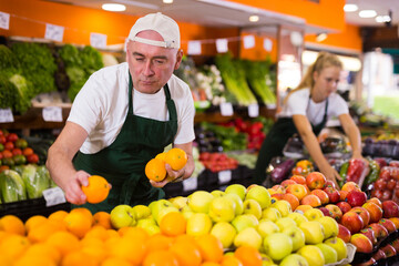 Fototapeta premium Focused man seller working in a supermarket in the vegetable department puts oranges on the counter for sale