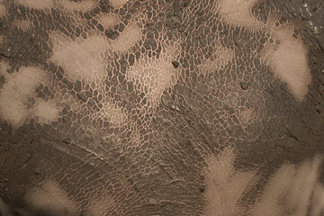 Mud Spa treatments on the Black sea coast. The back of the boy covered with therapeutic sludge.