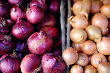 Fresh bio onion on showcase of supermarket in Monaco. Background.