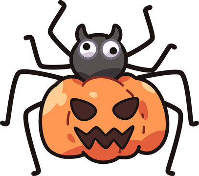 Pumpkin spider halloween