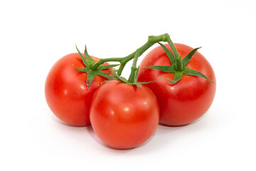 Rama de Tomates