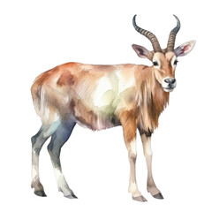antelope watercolor isolated on transparent background cutout