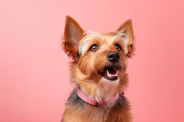 Exploring the world a curious Yorkshire Terrier AI generative