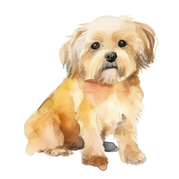 puppy watercolor isolated on transparent background cutout