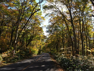 Mt Daisen, the marvelous scenery at Japan’s third national park