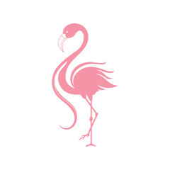 Flamingo abstract vector icon. Illustration of tropical bird. 