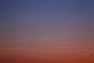 A magia do entardecer na Costa da Caparica, onde o céu se transforma em um degradê de cores encantadoras, do rosa ao azul, enquanto os pássaros dançam pelo ar. © Luciana Serra