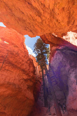 Landscape of Bryce Canyon National Park in Utah
