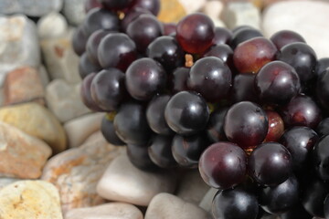 Black grapes on texture background