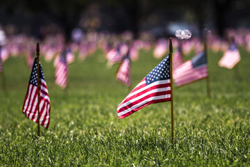 Arlington National Cemetery, Washington D.C.