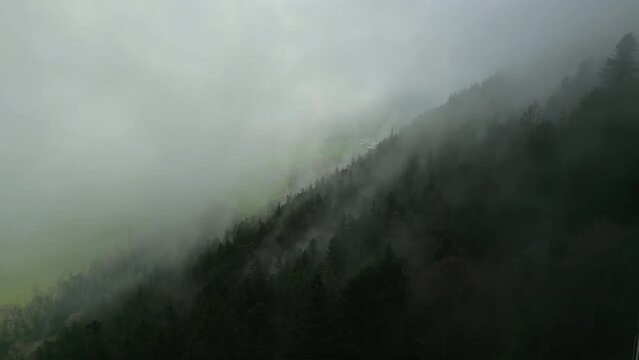 Drone slowly flies over the slope with trees covered with the fog. No people, no sun, pure nature. Near Interlaken, Switzerland, High quality 4k footage