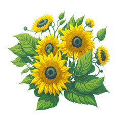 Fototapeta na wymiar Sunflower flower isolated, illustration style. Sunflowers bouquet with wild flower isolated.