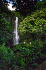 Waterfall and landscape on the islands of Hawaii with sunsets - obrazy, fototapety, plakaty