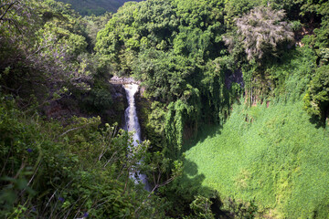 Beautiful waterfalls in the island of Hawaii, Maui - obrazy, fototapety, plakaty