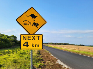 Warning road sign on Wilsons Promontory of kangaroos, koalas and wombats.