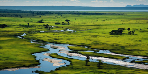 Pantanal with cotton and corn cultivation areas, landscape full of rivers and exotic fauna. Generative AI.