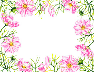 Frame of cosmos flowers isolated on a white background