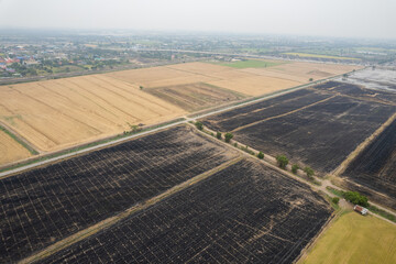 burn rice fields, aerial view from flying drone of Field rice, Forest fires