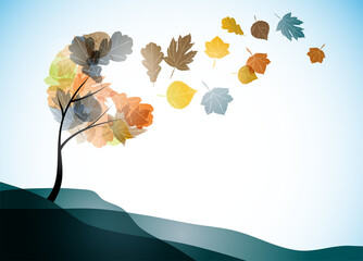 Autumn Tree Wind