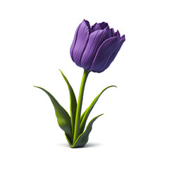 Fototapeta premium Beautiful Purple tulip flower on white background. Elegant floral design element illustration. Purple Tulip Flower on Bended Stem