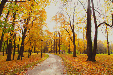 Autumn park landscape . Golden autumn in the city park. Photos on the calendar. Season. September, October, November