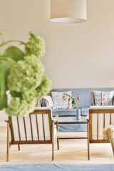 a living room with couches, chairs and a plant in the middle part of the room on the right side