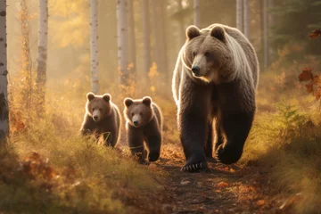 Fototapeten One big bear and two small bears walking in a forest, Generative AI © Aleksandr Bryliaev