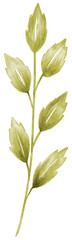 watercolor leaf illustration