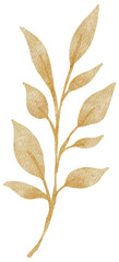 Fototapeta na wymiar watercolor leaf illustration