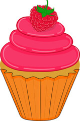 raspberry cupcake with fresh raspberry