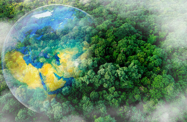 Aerial view of green forest against the land. Demonstrates the concept of preserving the ecosystem...
