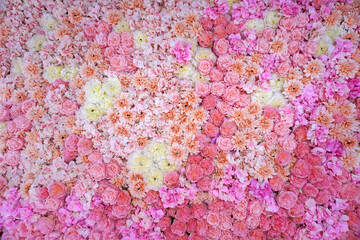 Colorful flowers background and texture. Roses backdrop for wedding party