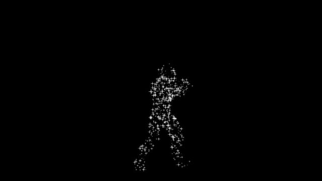 MMA Mixed Martial Artist made of stars Round house Kick