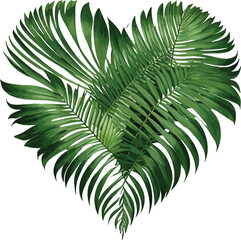 Palm Leaves Heart Shape Vector