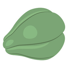 Chayote fruit. Isolated vector illustration. Sechium edule. 